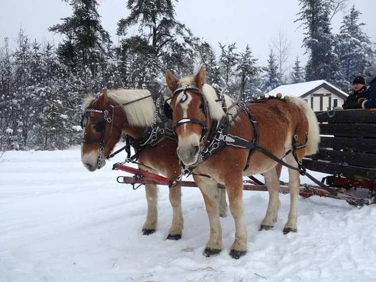 CDB3F3F5-1D45-409F-A2ED-67F455EFA5AA