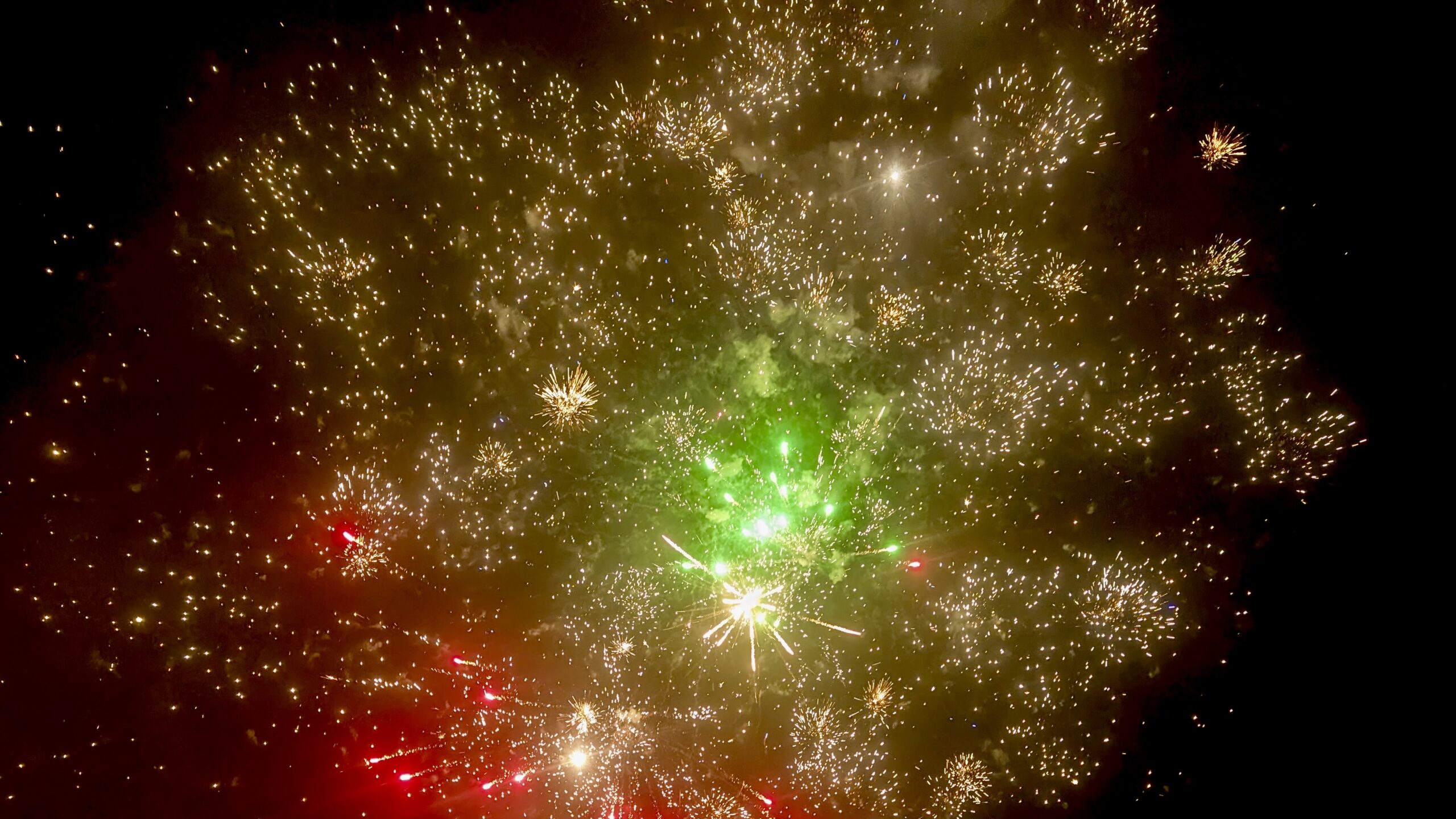 E8437611-992B-40DD-A859-F4F26D0B0FF3_1_201_a