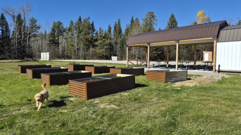 A little more room for fresh ideas, shared experiences and time outdoors. The garden adds a wonderful new dimension to the park, with plenty of possibilities waiting for the warmer months ahead.